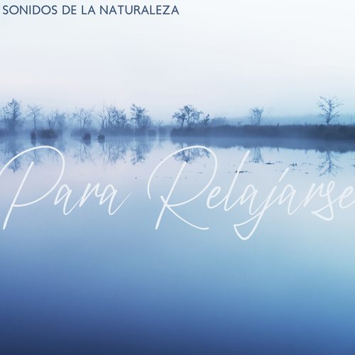 Meditación Dichosa cover art