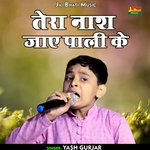 Tera nash jae pali ke (Hindi)