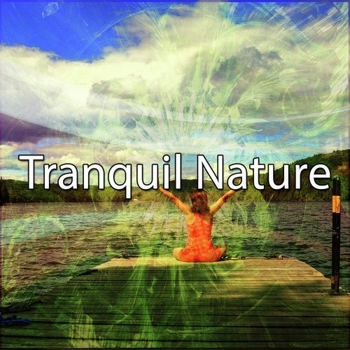 Tranquil Nature_poster_image