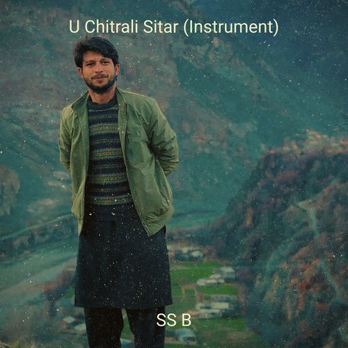 U Chitrali Sitar (Instrument)