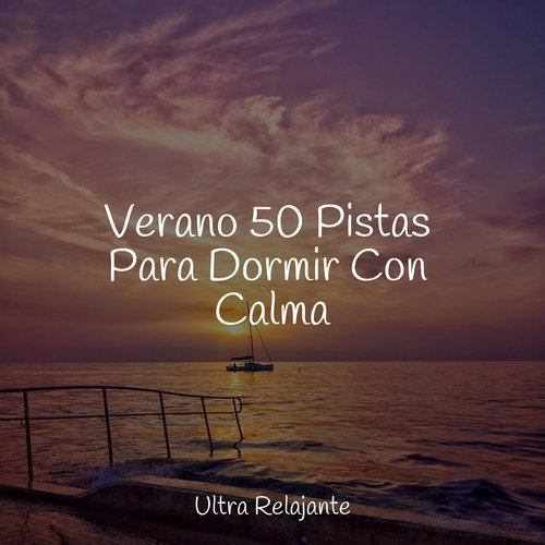 Verano 50 Pistas Para Dormir Con Calma_poster_image