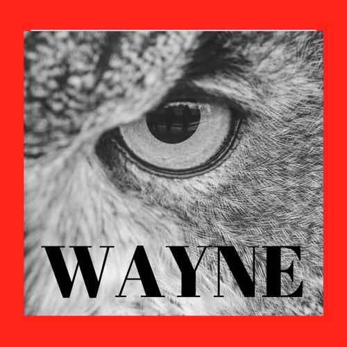 Wayne cover art