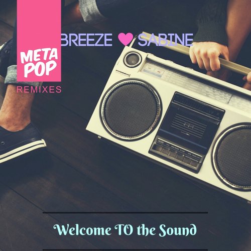 Welcome to the sound: MetaPop Remixes