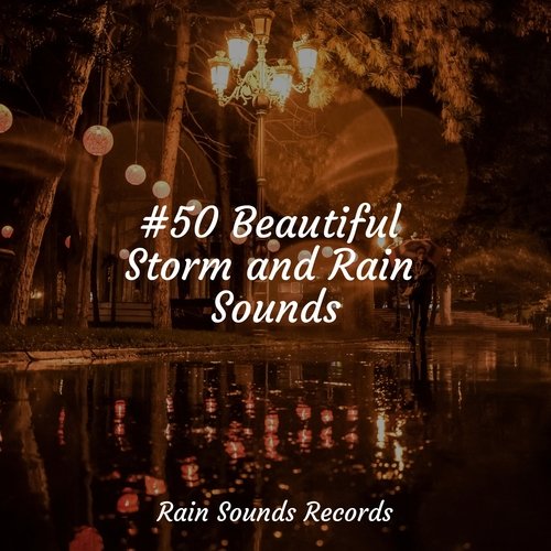 #50 Beautiful Storm and Rain Sounds