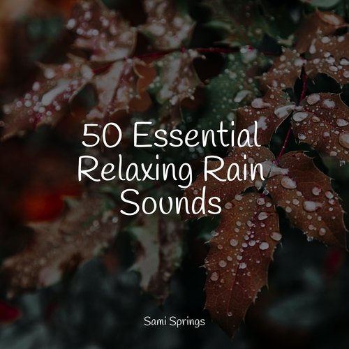 50 Calming Rain Sounds for Restful Sleep_poster_image