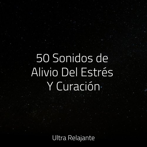 50 Sonidos de Alivio Del Estrés Y Curación