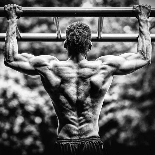 Barfitness Workout Music cover art