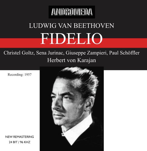 Fidelio, Op. 72, Act II: Wie kalt ist es in diesem unterirdischen Gewölbe