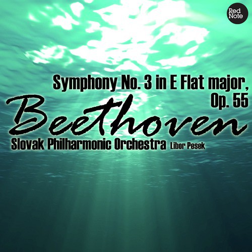 Beethoven: Symphony No. 3 in E Flat major, Op. 55_poster_image