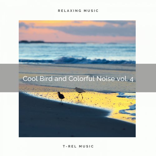 Journey of the Sea of Noise with Bird Calls pt. 2 cover art
