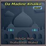 Insan Shpa Razi Da Duniya Yaad Vi