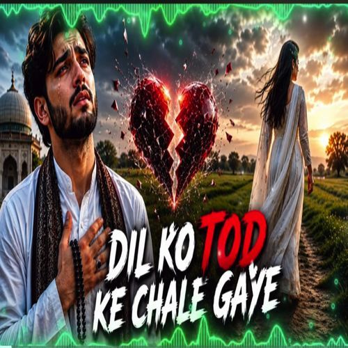 Dil Ko Tod Ke Chale Gaye
