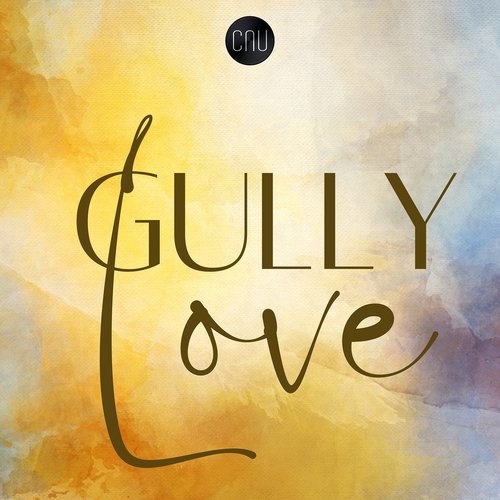 Gully Love