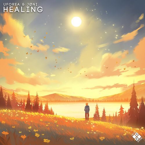 Healing_poster_image