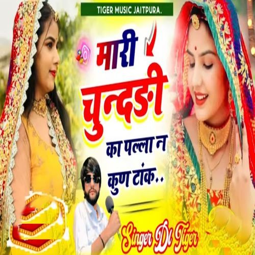 Mari Chundadi Ka Palla N Kun Tank