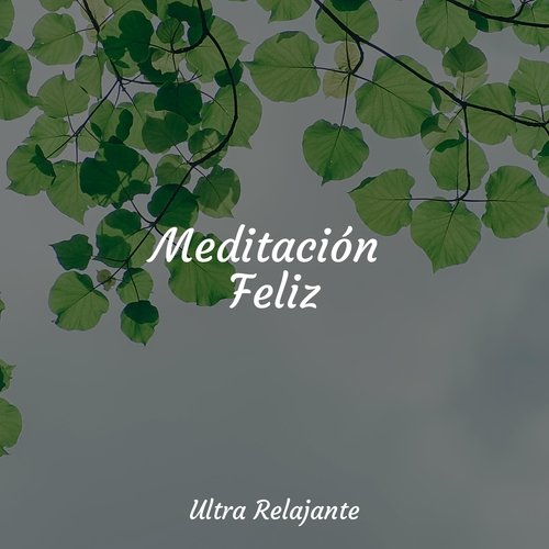 Meditación Feliz