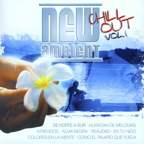 New Ambient Chill Out Vol.4_poster_image