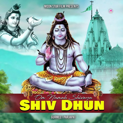 Om Namah Shivaya (Shiv Dhun)