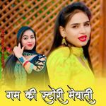 गम की स्टोरी मेवाती