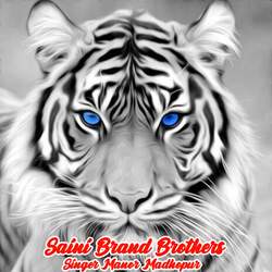 Saini Brand Brothers-JDtZdQYdQUk