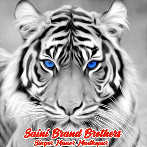 Saini Brand Brothers