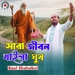 Sara Jibon Khaila Ghush