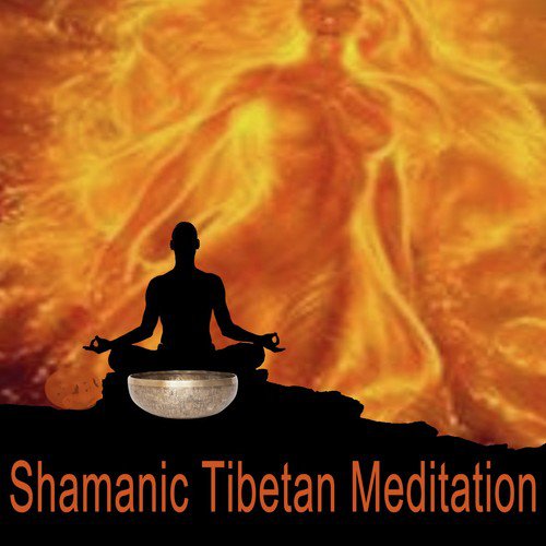 Shamanic Rituals cover art