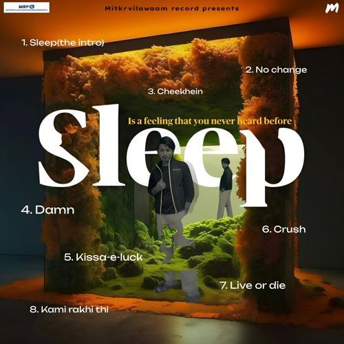 Sleep(the intro)