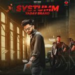 Systumm Yadav Brand