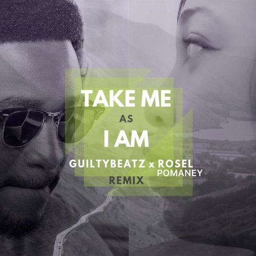 Take Me as I Am (Remix)