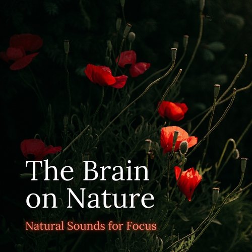 Meditation Energy cover art
