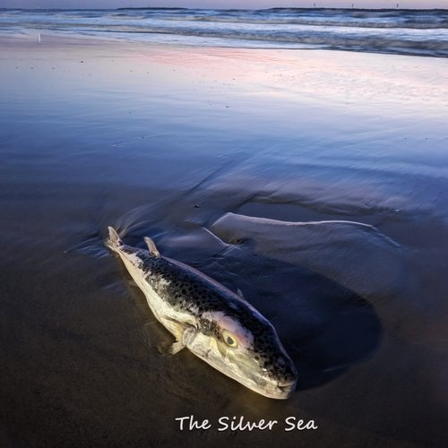 Desert blues cover art