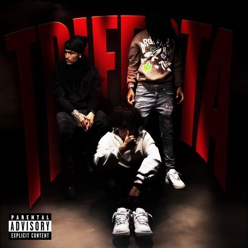 Obama Did It cover art