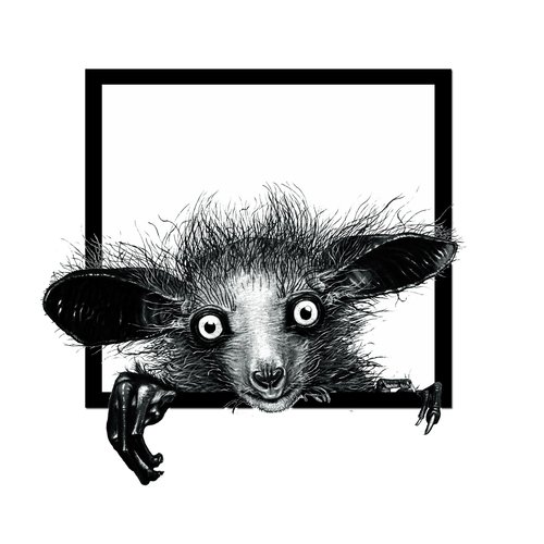 Truffle cover art