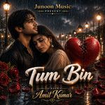 Tum Bin