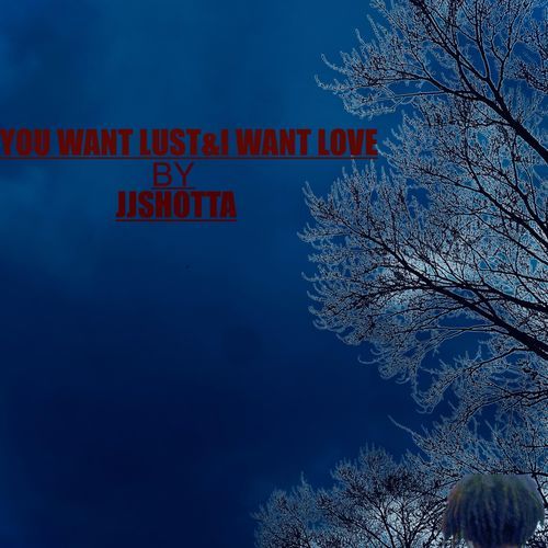 You Want Lust & I Want Love cover art