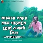 আমার বন্ধুর ডান গালেতে ছোট্ট একটা তিল