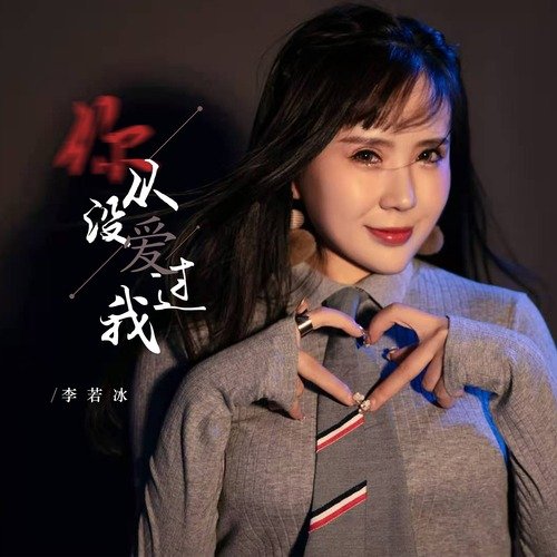 你从没爱过我 cover art