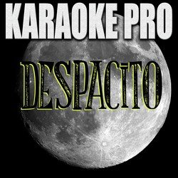 Karaoke Pro