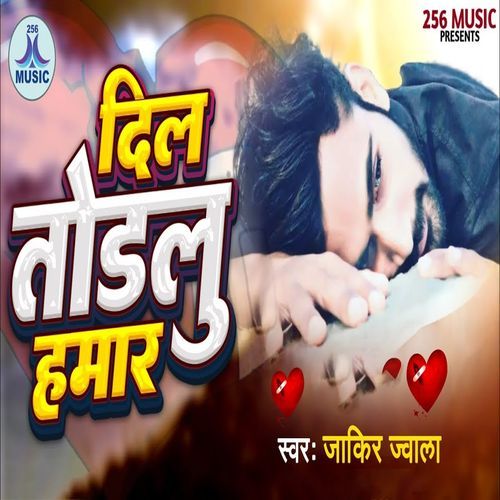 Dil Todlu Hamar