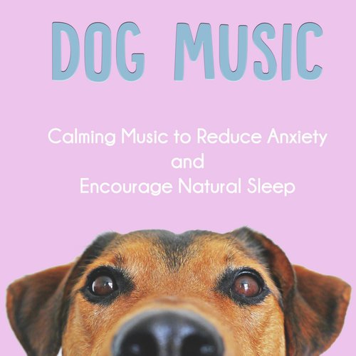 Dog Music: Calming Music to Reduce Anxiety and Encourage Natural Sleep