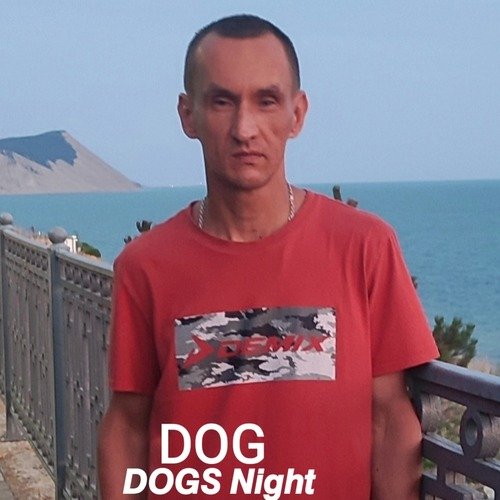 Dogs Night