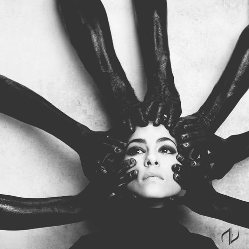 INTO THE VANISHING LIGHT