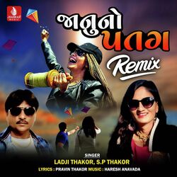 Janu No Patang Remix-AzA-QzkGAlg