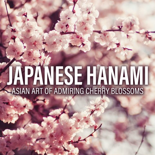 Japanese Hanami (Asian Art of Admiring Cherry Blossoms, Zen Garden Background Songs)