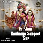 Krishna Kanhaiya Sangeet Sur Slowed &amp; Reverb