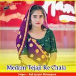 Medam Tejaji Ke Chala