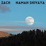 Namah Shivaya