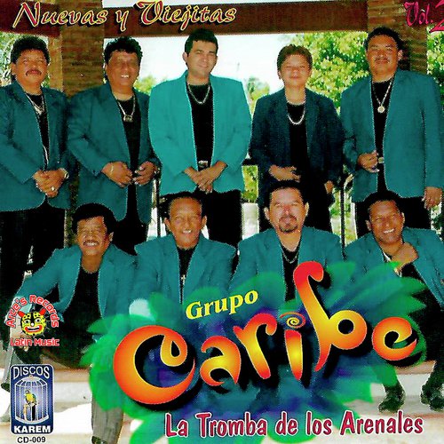 El Fallo A Mi Favor cover art
