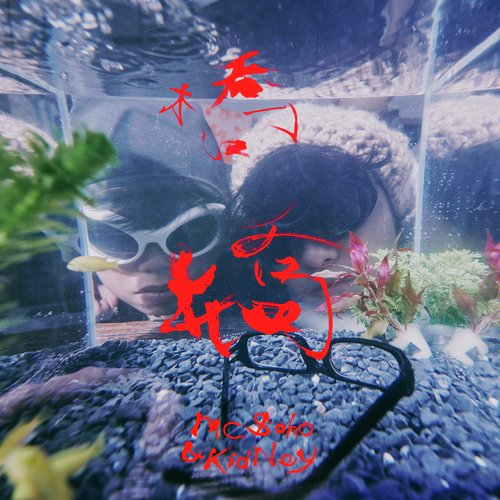 橋橋 cover art